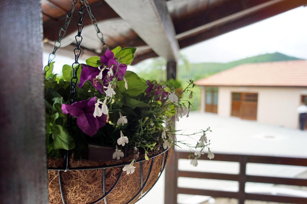 Cabana La Pestera Pestera  Dış mekan fotoğraf