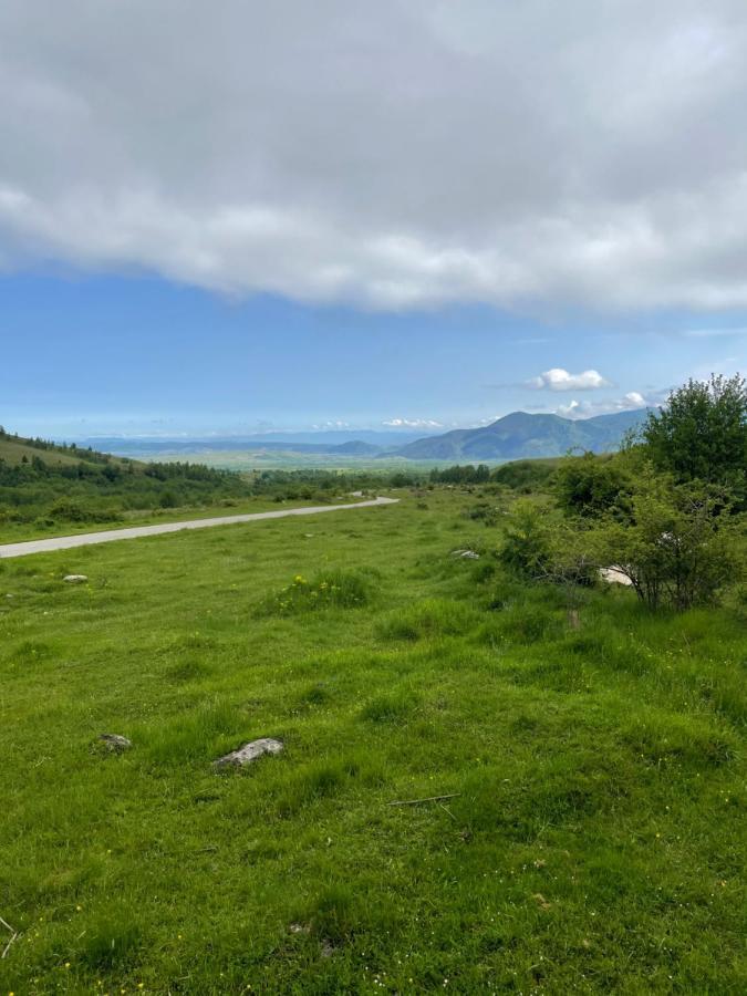 Cabana La Pestera Pestera  Dış mekan fotoğraf